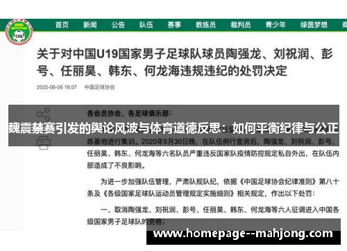 魏震禁赛引发的舆论风波与体育道德反思：如何平衡纪律与公正
