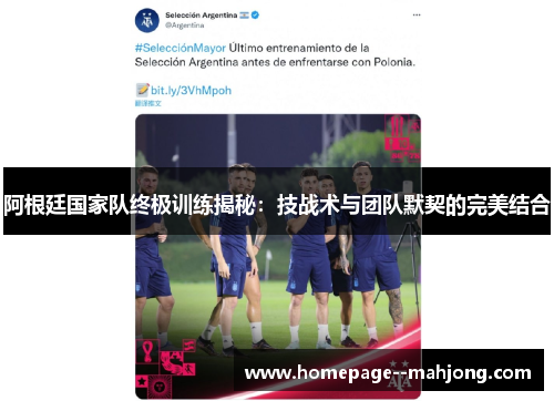 阿根廷国家队终极训练揭秘：技战术与团队默契的完美结合
