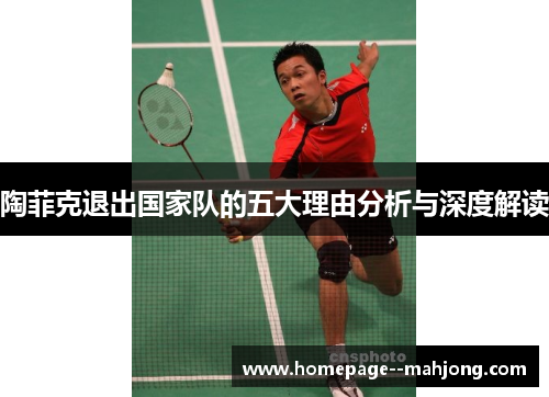 陶菲克退出国家队的五大理由分析与深度解读